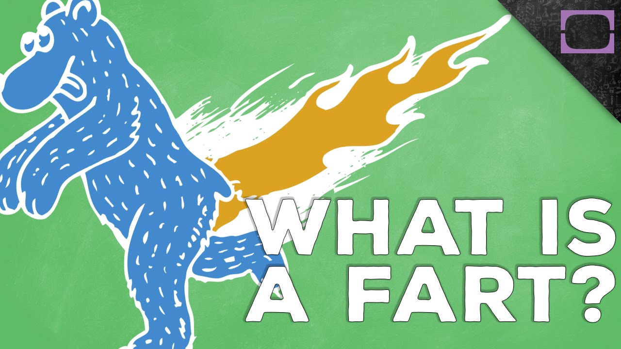 Why Do We Fart?