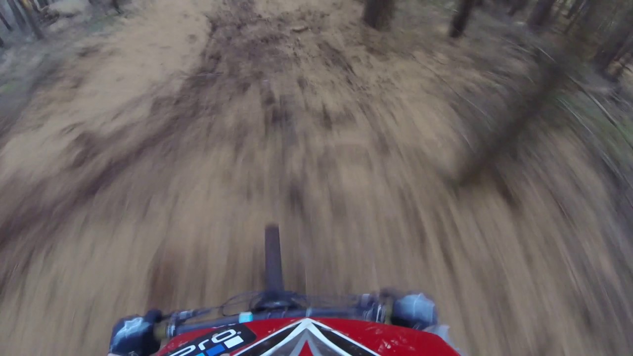 Shining cliff/ambergate woods mtb