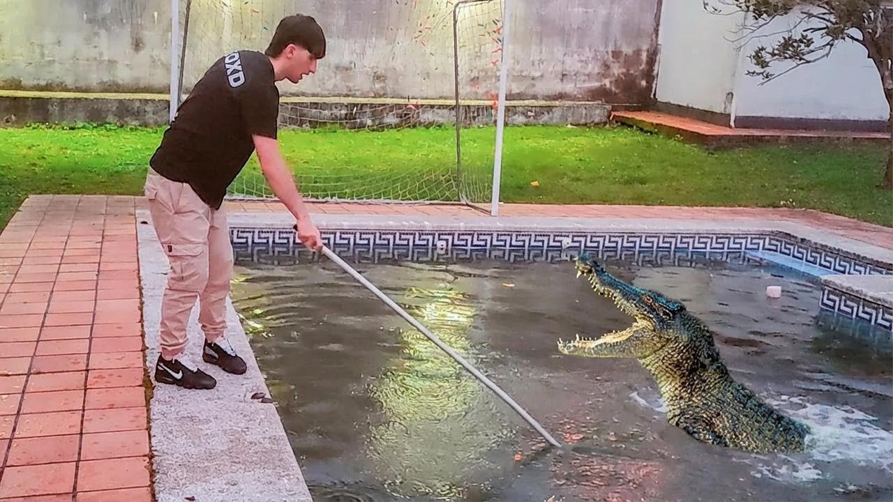 Etwas will mich im giftigen Pool fressen!! | Davidisla