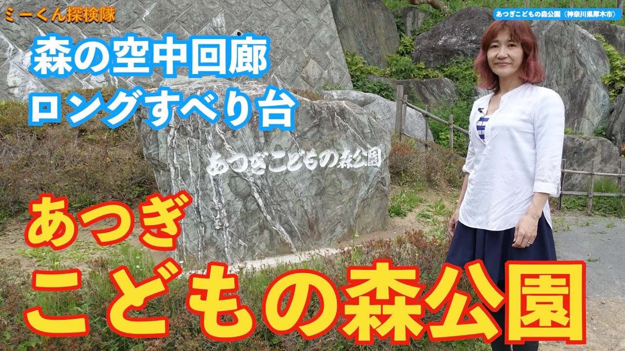 【神奈川の公園】あつぎこどもの森公園（神奈川県厚木市）日本一の森の空中回廊を歩く