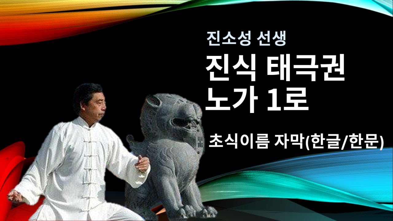 진소성 진식태극권 노가1로 전체 - 초식이름 자막