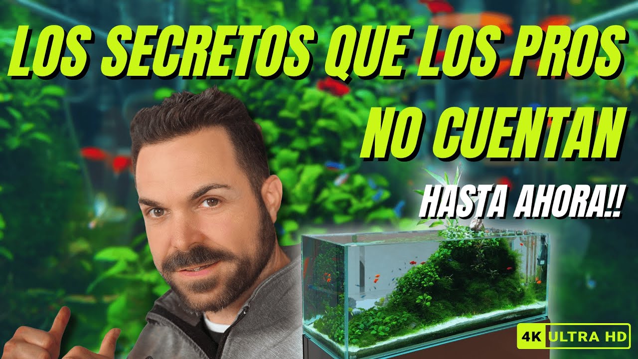 🎯 Lleva tu ACUARIO a un NIVEL BRUTAL (no es lo que crees) 🧠💥