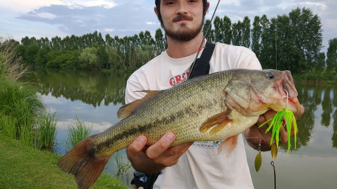Black bass and more, fishing Italy