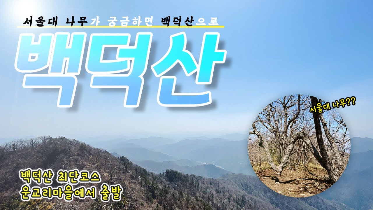 강원도 평창 백덕산 최단코스 | 운교리 마을 | 서울대 | 나무 | 100대 명산 | 산올림