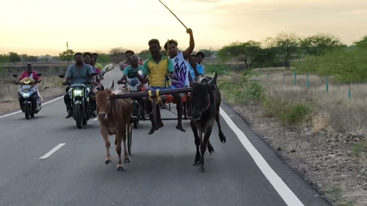 பயிற்சி பந்தயம் சூரங்குடி #race 