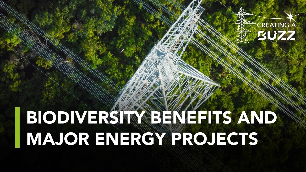 How to deliver benefits for biodiversity through the delivery of energy transmission infrastructure