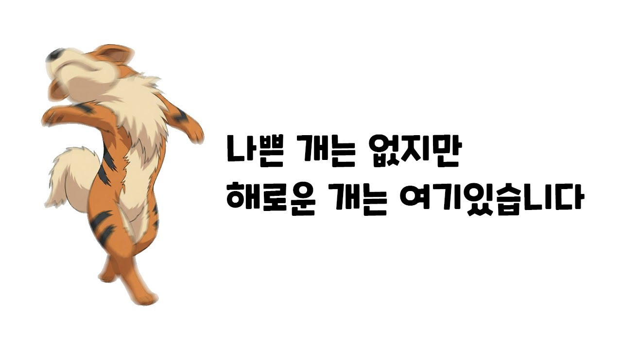 강아지파티로 랭크배틀
