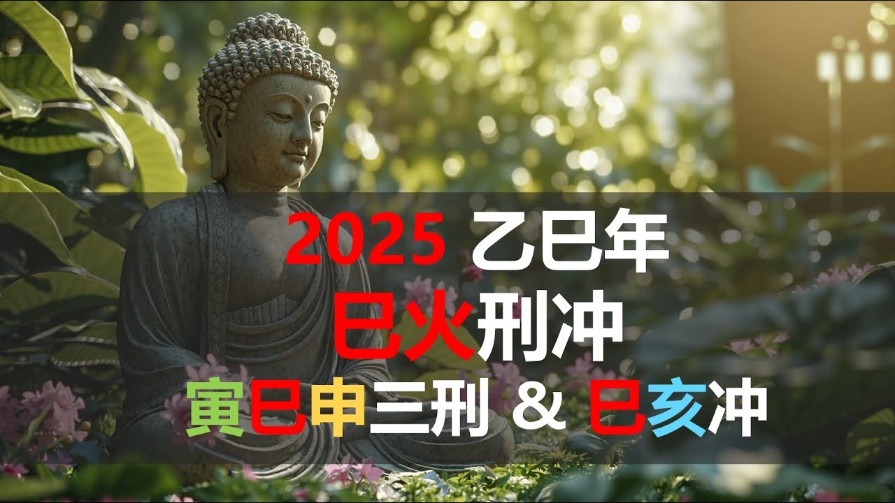 2025 乙巳年 - 巳火刑冲 - 寅巳申三刑 & 巳亥相冲