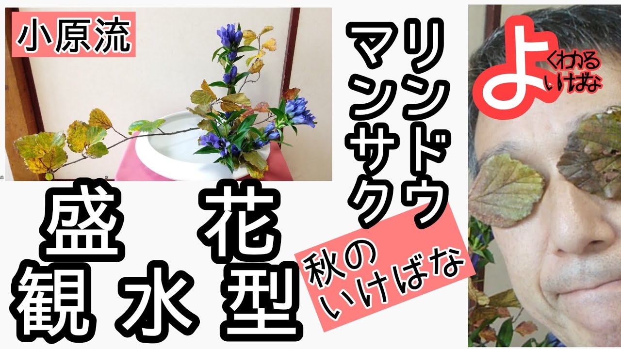 【生け花】いけばな小原流　色彩盛花色彩本位　観水型　万作　マンサク　竜胆　リンドウ　秋の生け花　自主トレ風景です。おうち生け花のヒントになれば幸いです。始めよういけばなレッスン！