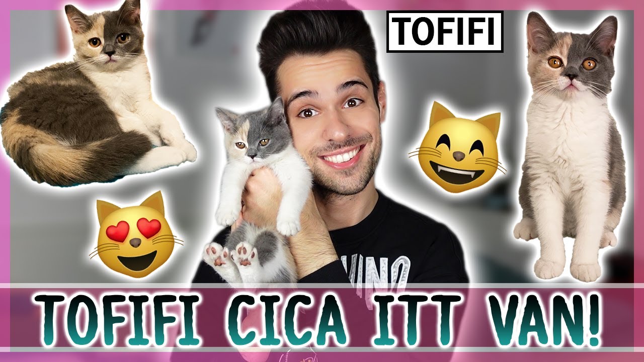 $ TOFIFI CICA MEGÉRKEZETT!! ❤️😻 $