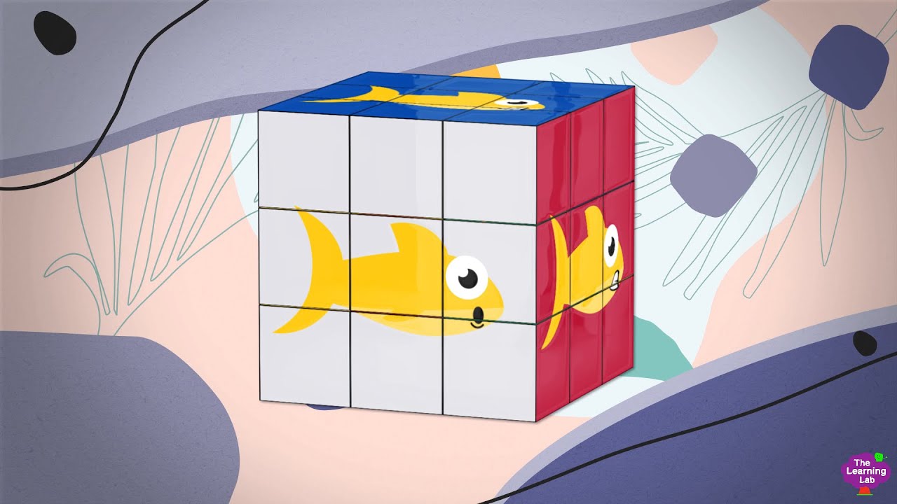 Baby Shark | Rubik Version
