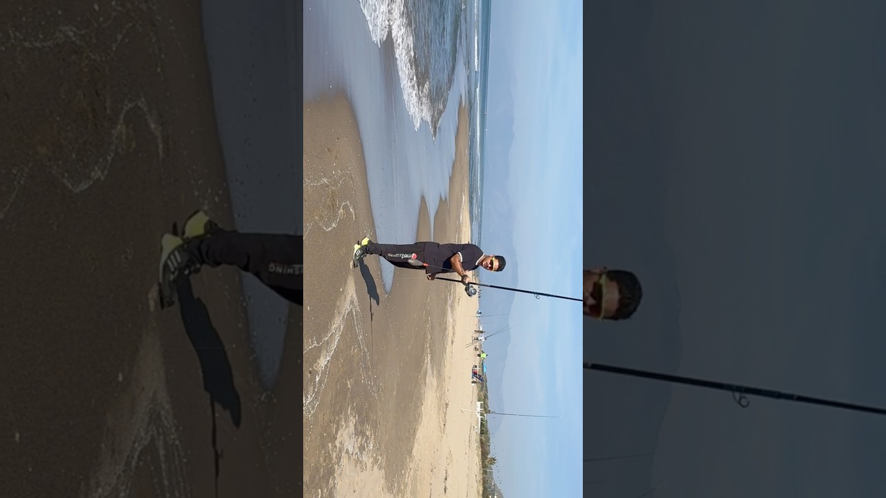 Fast cast and furius fishing ! 