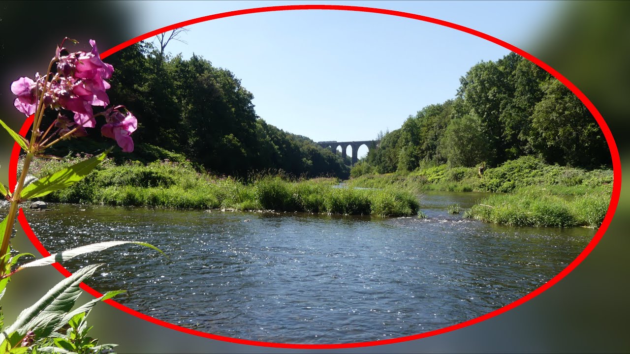 Halb und Halb - zwischen Chemnitz und Zwickauer Mulde