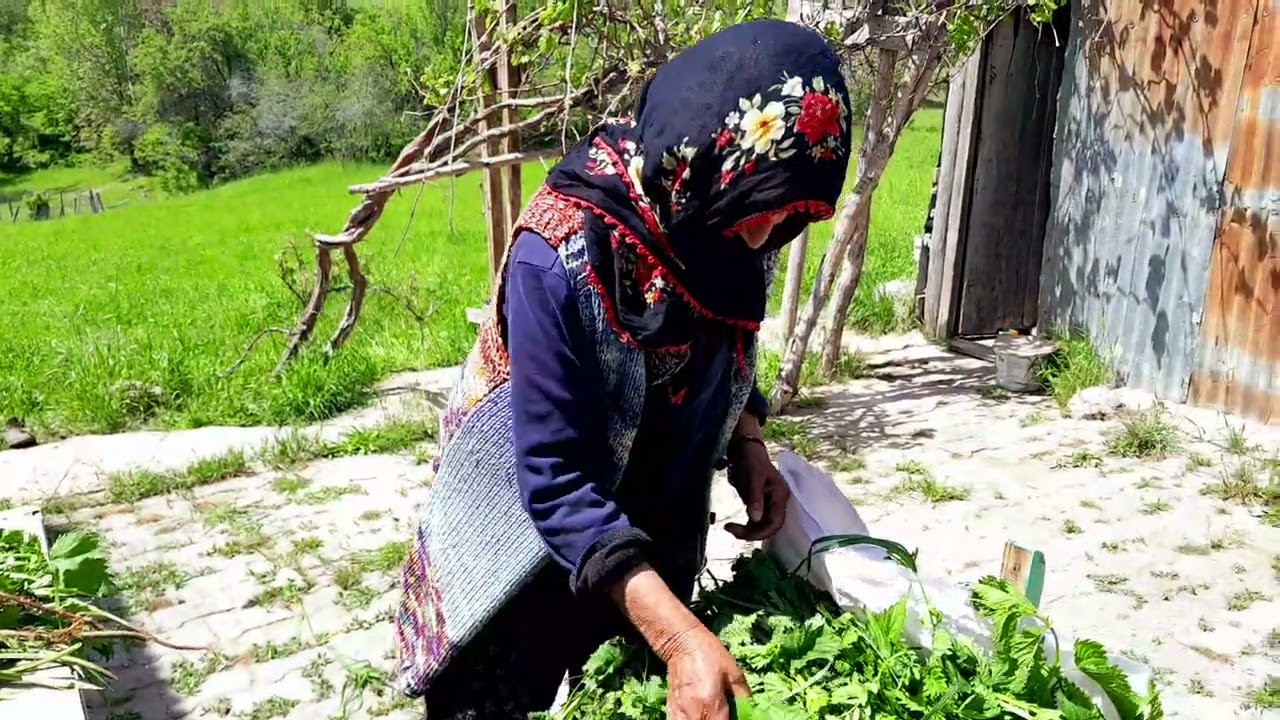 Dersim & Nazımiye. Zekiye ay teyzemle sohbet