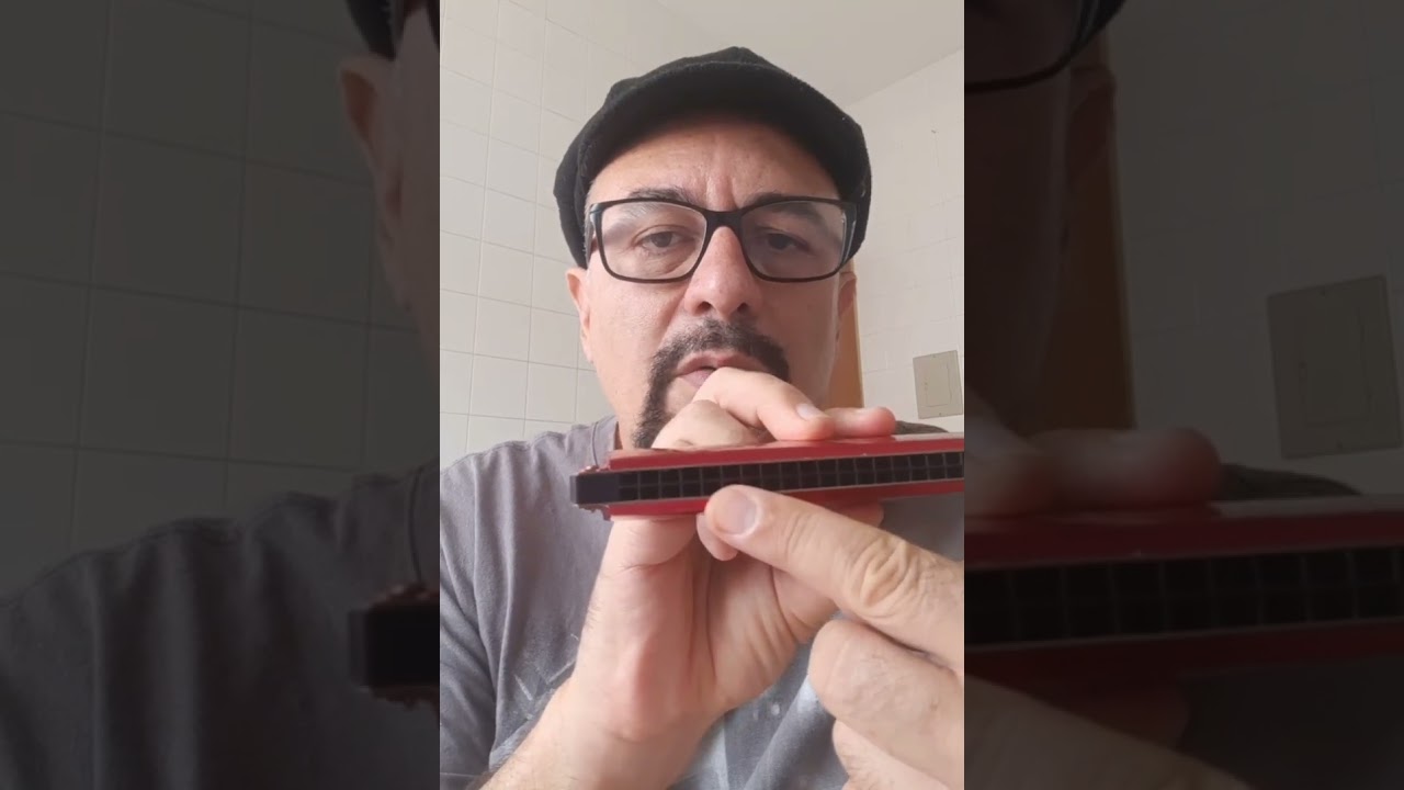 Gaita tr&ecirc;molo - Tutorial de como funciona e como tocar