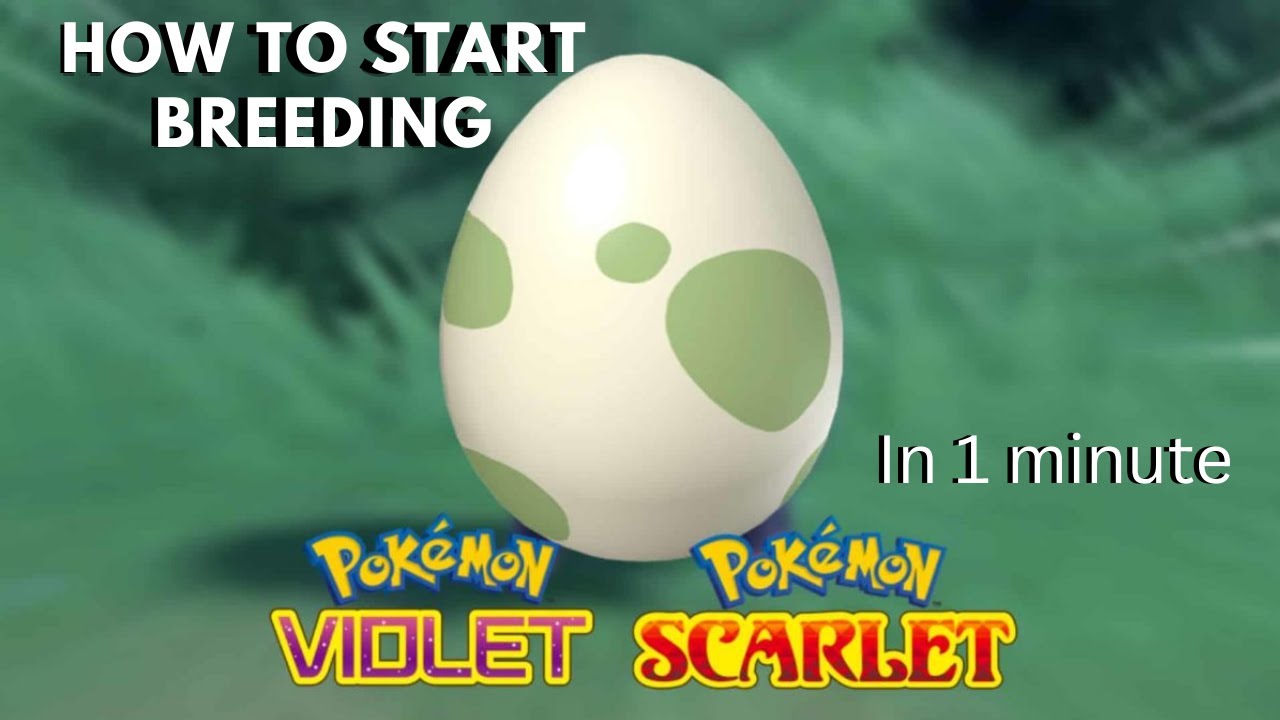 Как начать разведение покемонов в Pok&eacute;mon Scarlet and Violet