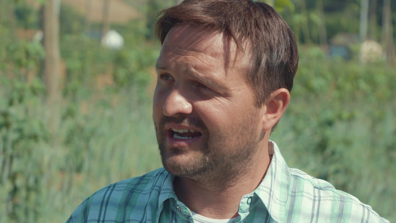 Virtueller Feldtag 08: Hopfen und Malz, Gott erhalt's &ndash; Hopfenanbau in Bayern