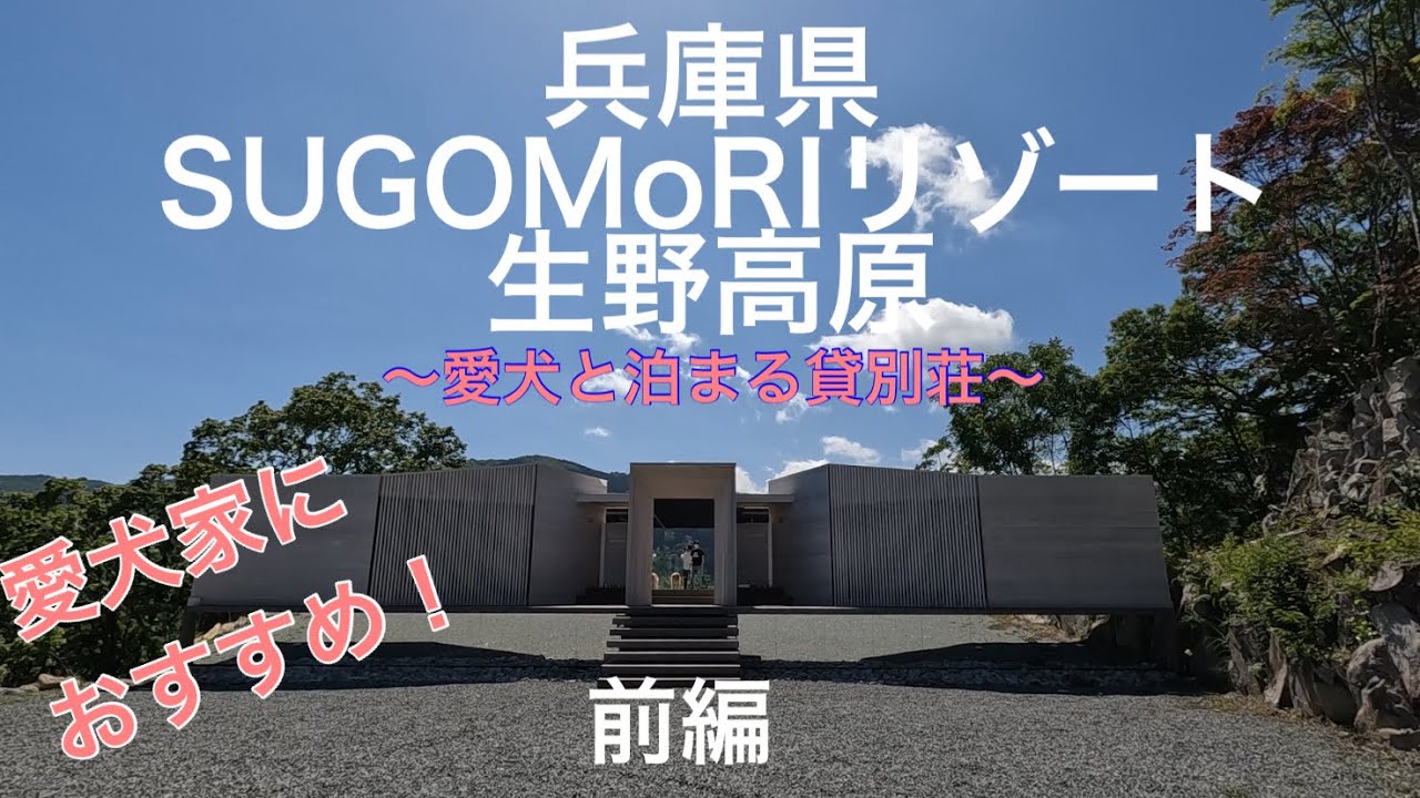 犬キャンプ【兵庫県SUGOMoRIリゾート】〜愛犬と泊まる貸別荘〜へ行ってきた#ゴールデンのサーフちゃんねる #SUGOMoRI#貸別荘#goldenretriever