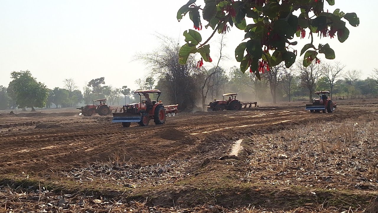 อะลังกานงานส้างเจ้สายแดกบุกเบีกที่นา8 มีนาคม ค.ศ. 2026