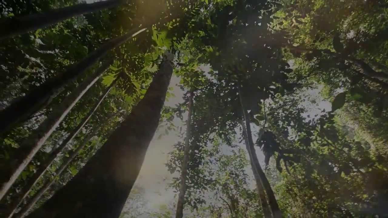 Bom Bom Island Resort, São Tomé e Príncipe