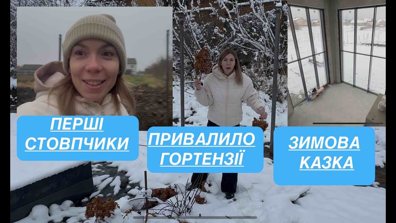 ПЕРШІ СТОВПЧИКИ | Прибило гортензії | Випав сніг
