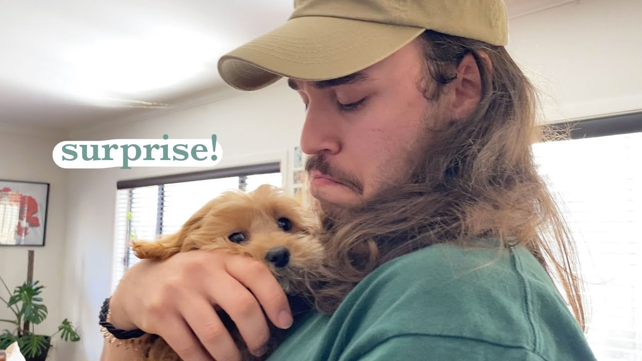 surprising my boyfriend with a puppy!