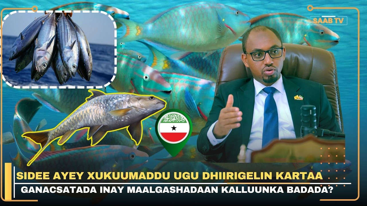 Sidee ayey Xukuumaddu ugu dhiirigelin kartaa ganacsatada inay maalgashadaan kalluunka badada?