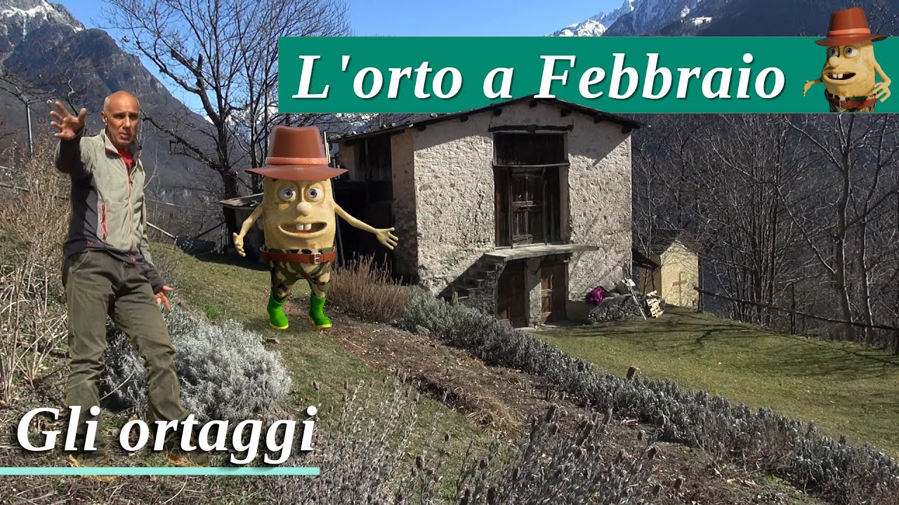 L'orto a Febbraio: gli Ortaggi