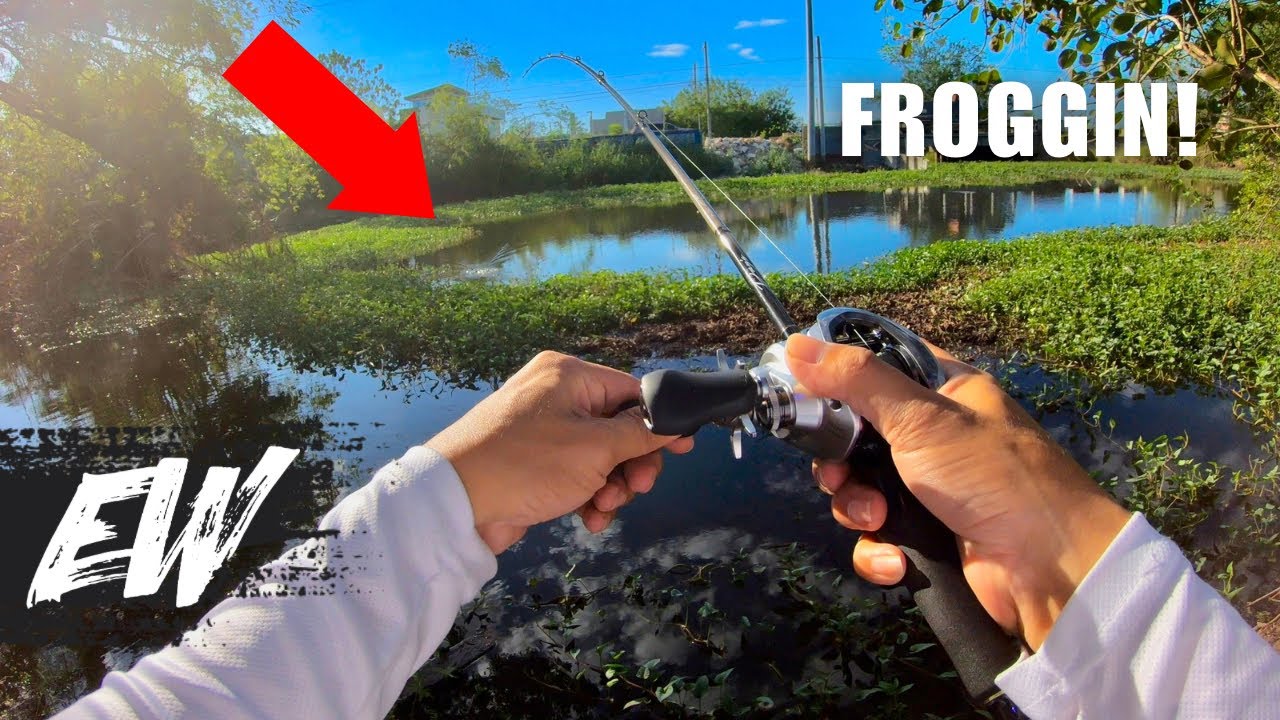 Snakehead fishing with my NEW BAITCASTER | Y4E33