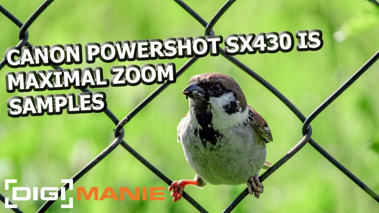 Canon PowerShot SX430 IS Maximal Zoom Photos