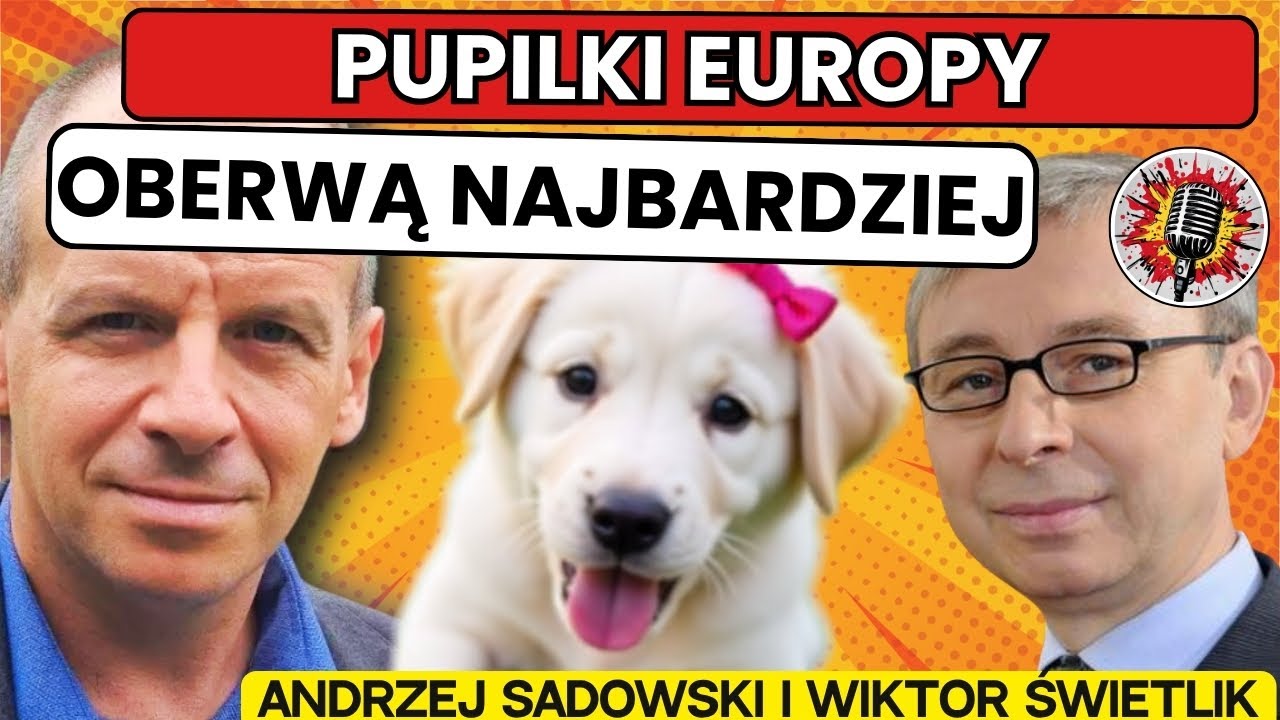 Gdy Unia coś wprowadza, my wprowadzamy to bardziej  - SADOWSKI