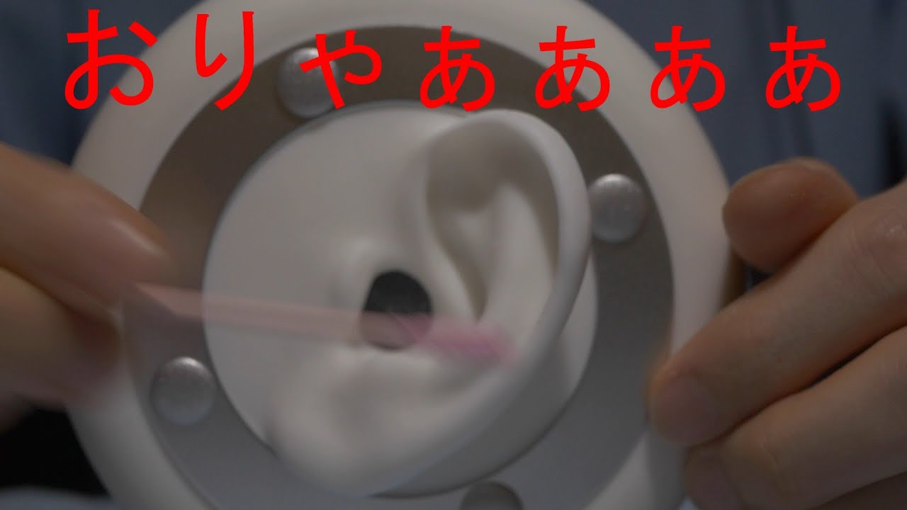 ASMR みみすけを綿棒で高速耳かき