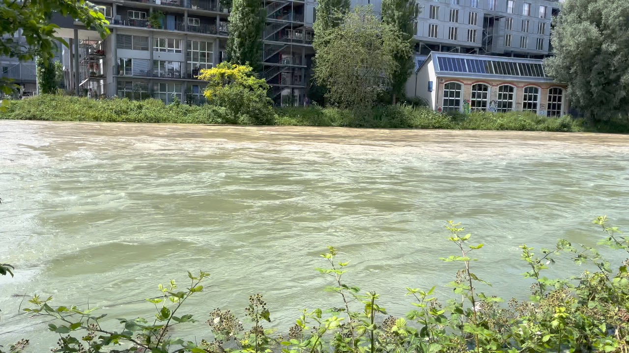 Limmat Hochwasser