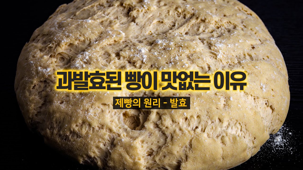 빵 만드는데 적절한 발효가 중요한 이유를 정확히 알아보자!  [제빵의 원리]