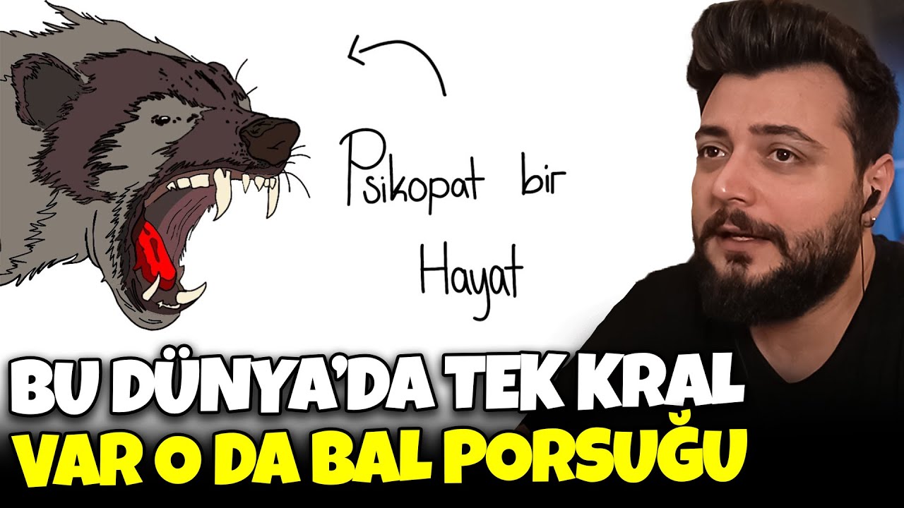Elayja Eğer Bir Bal Porsuğu Olarak Doğsaydın? İzliyor 