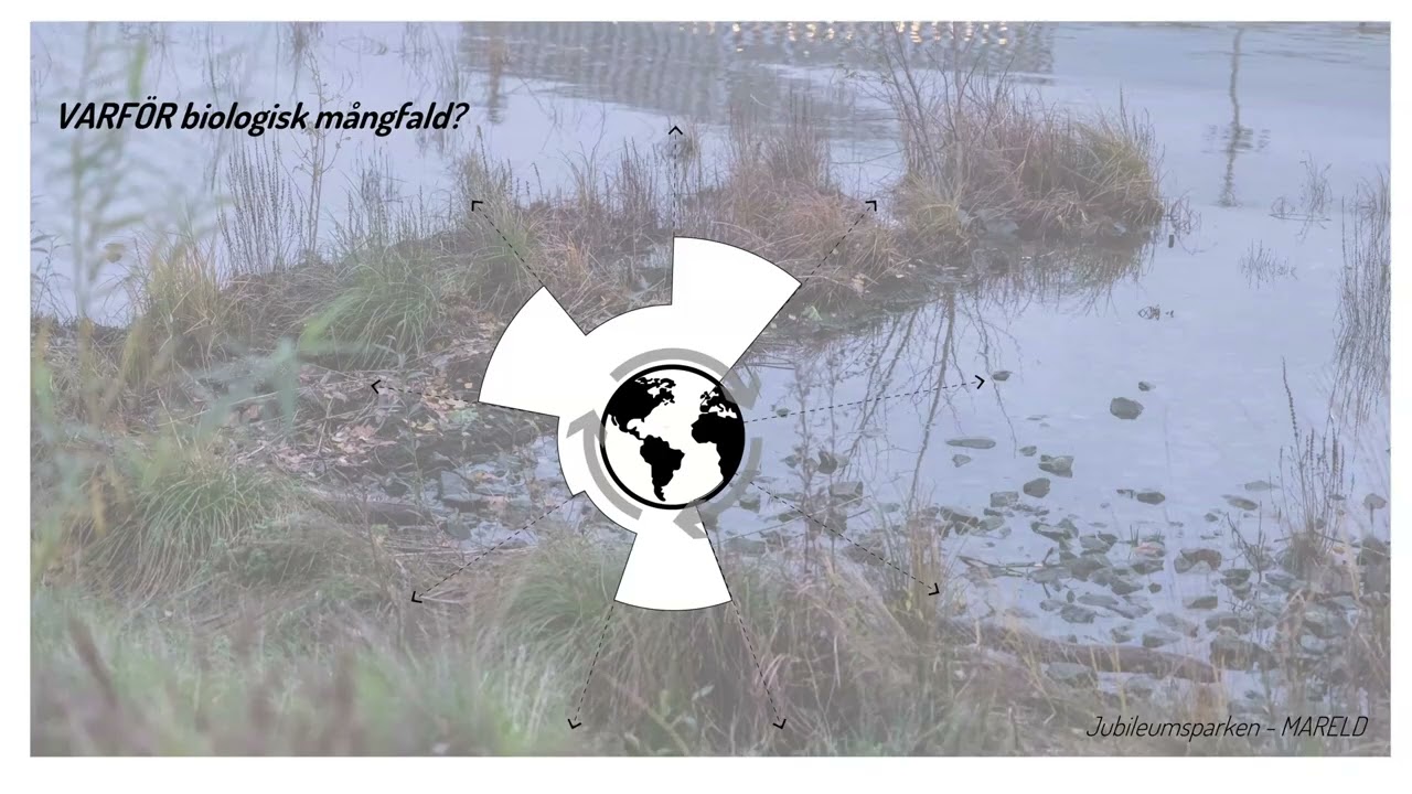 Biodiversitet - Hur når vi uppsatta mål inom stadsbyggnad och i byggprocessen?