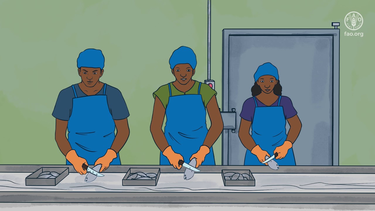 SSF Guidelines: Value chains, post-harvest and trade