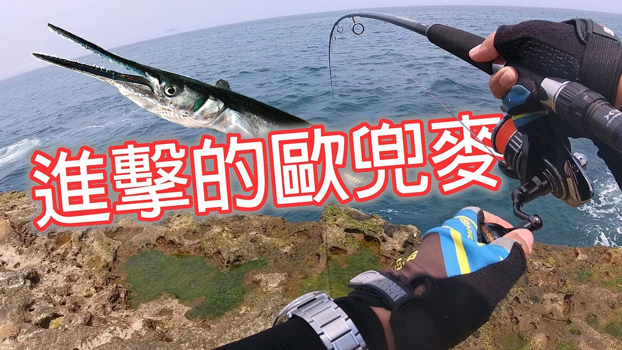 路亞岸拋Vlog--立夏，青旗強勢回歸!! 釣一送一，通通有獎，咬到你不要不要的! #LPGM5 #廖排GiveMe5 #路亞 #岸拋 #青旗 #水湳洞