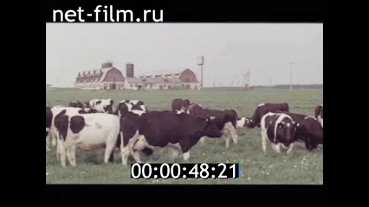1982г. колхоз Рамигала. Литва