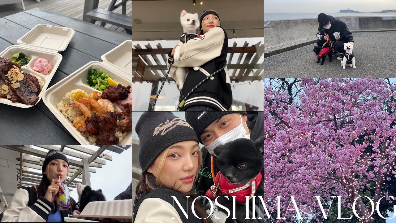 【vlog】愛犬を連れて江ノ島デート❣️