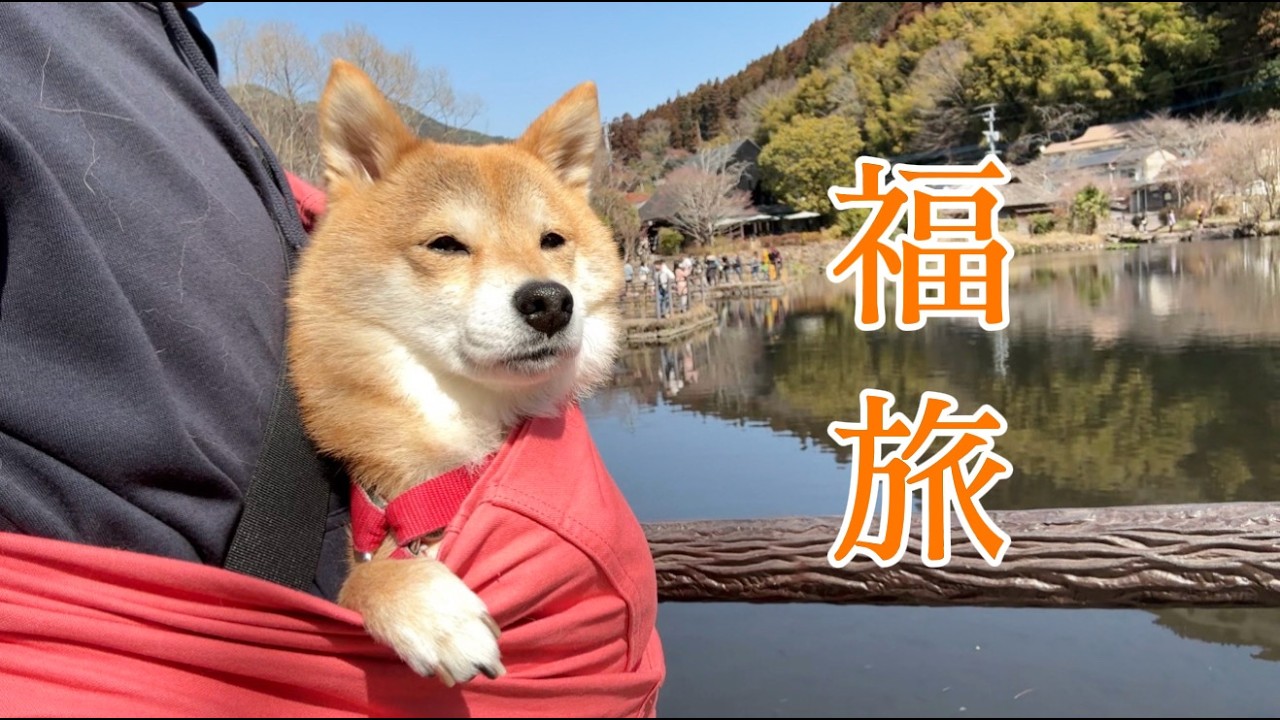 福ちゃんと過ごすかけがえのない時間