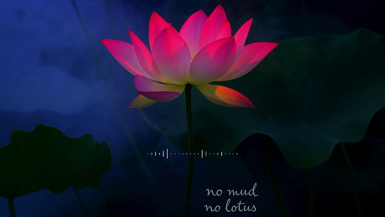 LOVE PEACE MUSIC  RADIO — Your Daily Reset