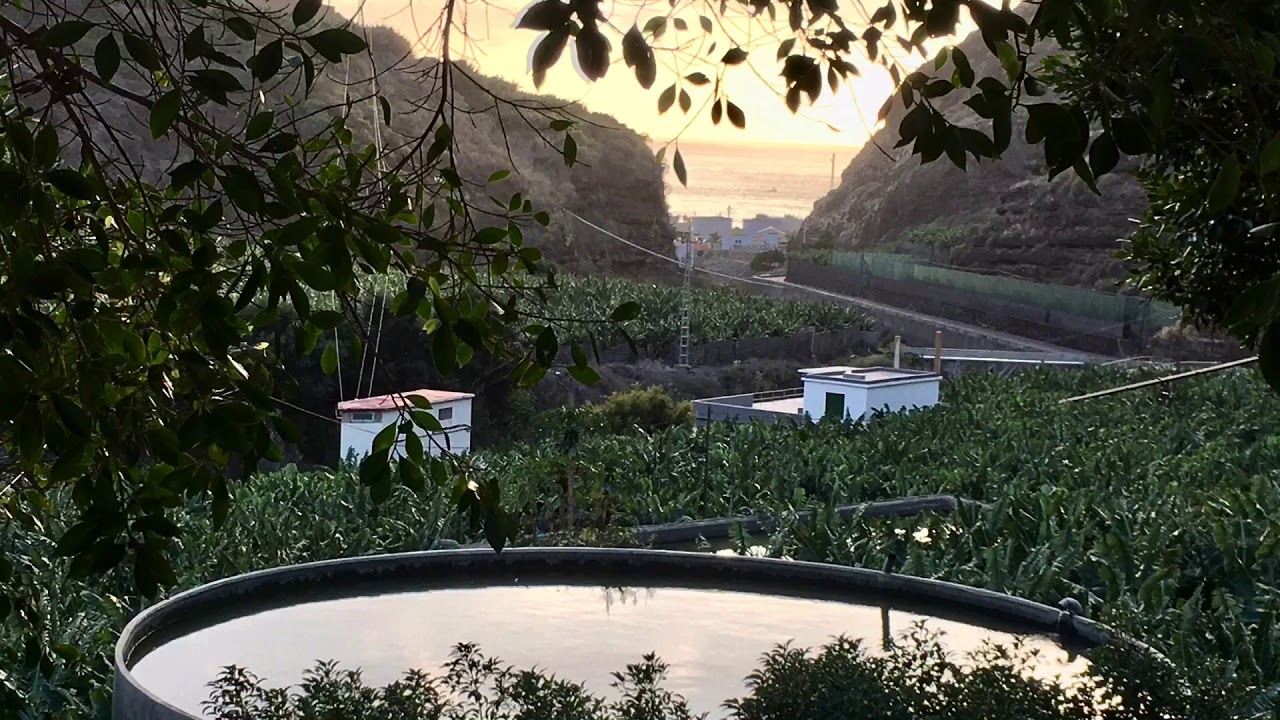 Sunset In Tazacorte And Playa De Tazacorte, La Palma