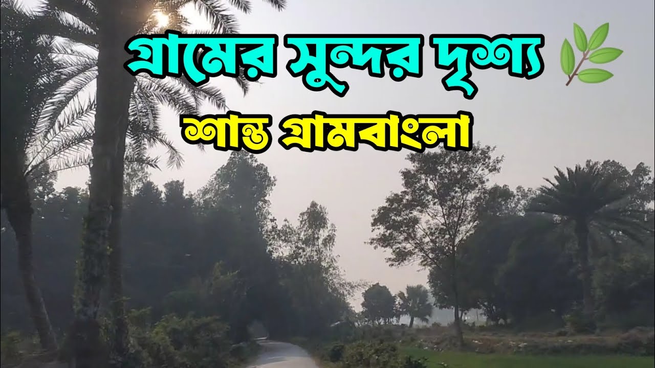 গ্রামের সুন্দর দৃশ্য 🌿 | সবুজে ঘেরা শান্ত গ্রাম | Beautiful Village Scenery