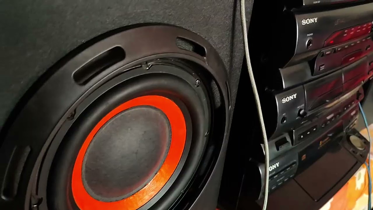 presentación del Sony lbt N455 es el rey del bajo profundo?🩺🦏