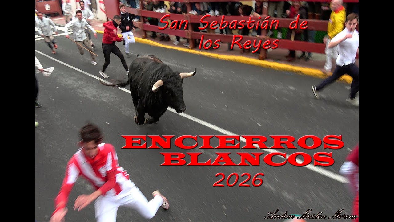 ENCIERROS BLANCOS 2026 segundo de las Fiestas Patronales San Sebastián de los Reyes(Madrid)18-01-26