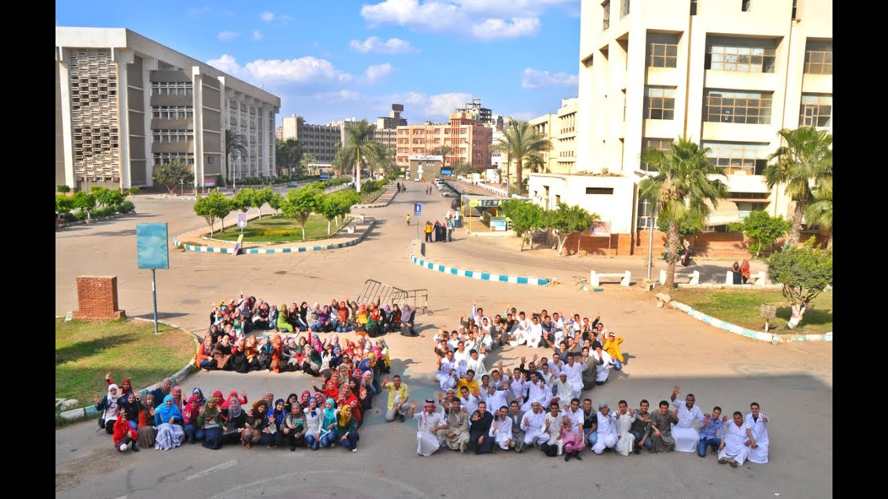 دفعة 2008/2014  طب طنطا