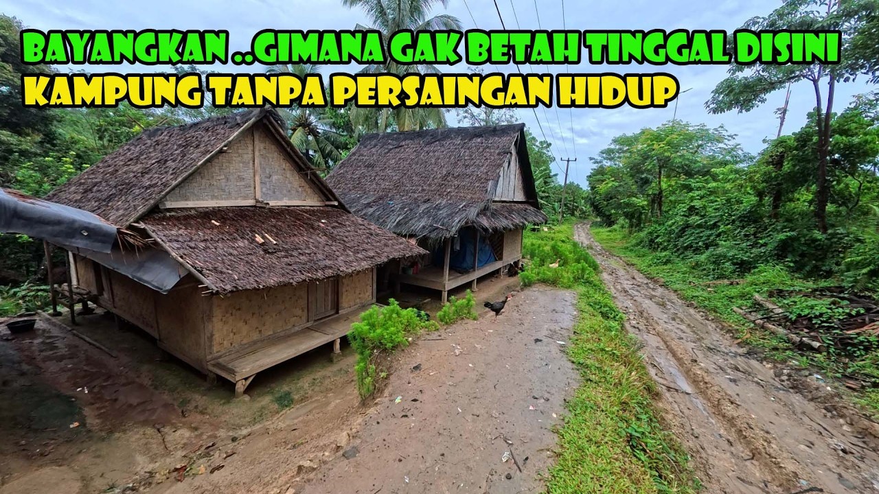 Kampung Tanpa Persaingan Hidup.. Aman Tentram Dan Damai..Gemah Ripah Loh Jinawi