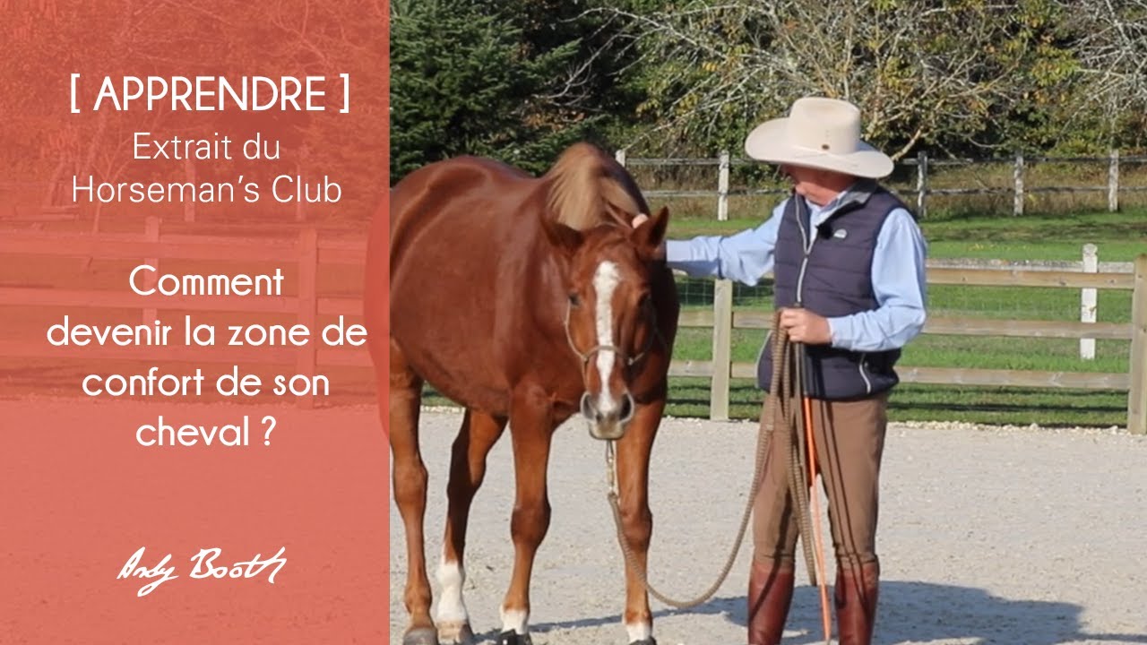 [APPRENDRE] Comment devenir la zone de confort de son cheval ?