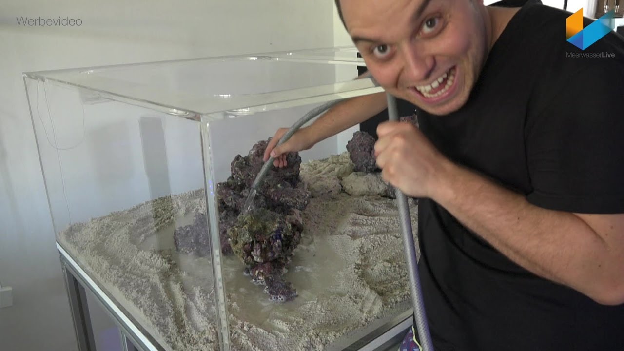 3/5 Wir bauen ein Meerwasser Aquarium | Showtank |  Tutorial | Meerwasser Live TV